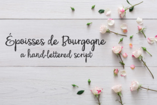 PN Époisses De Bourgogne: A Bouncy Script Font for Brands
